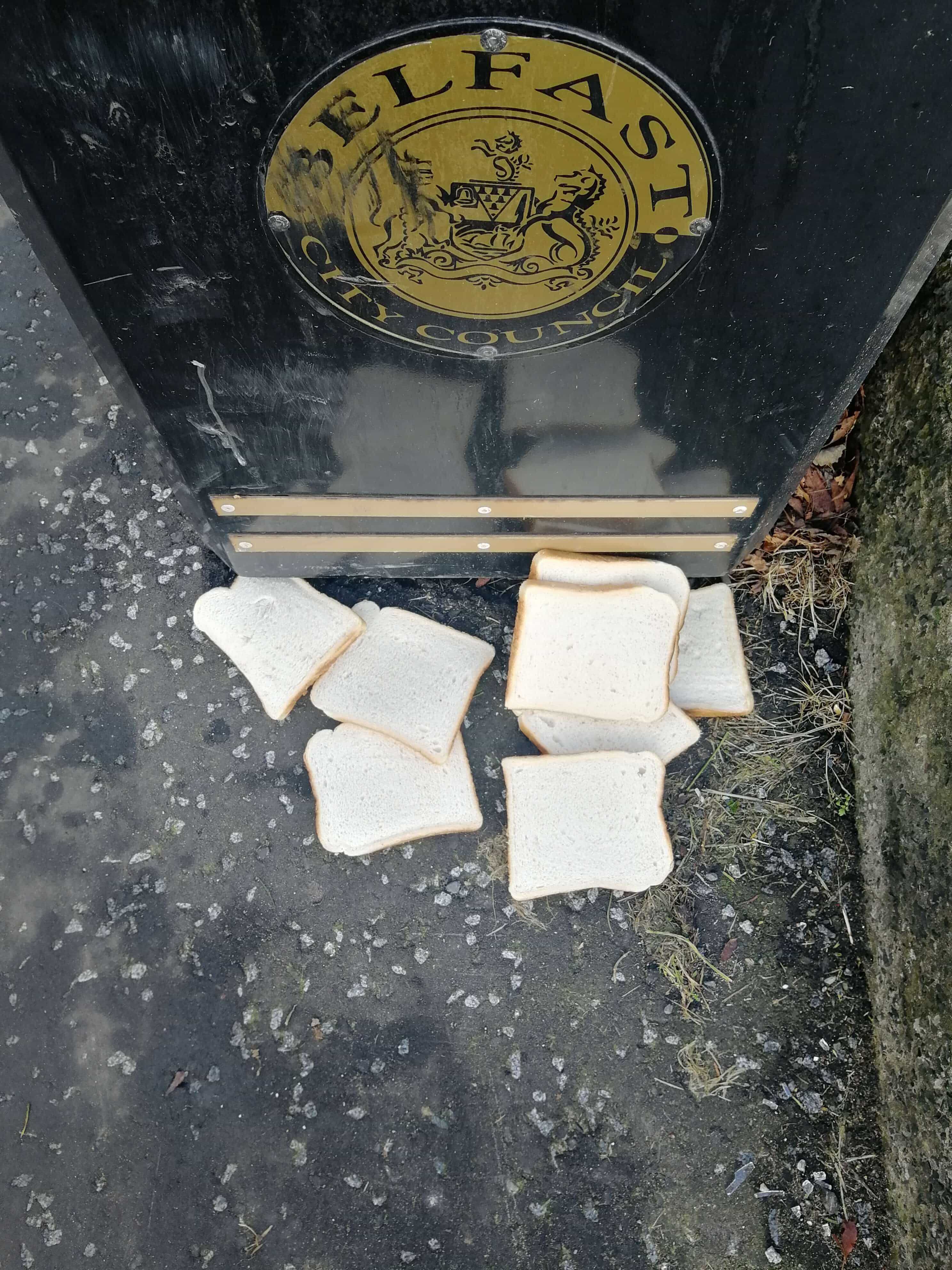 Bread Bin