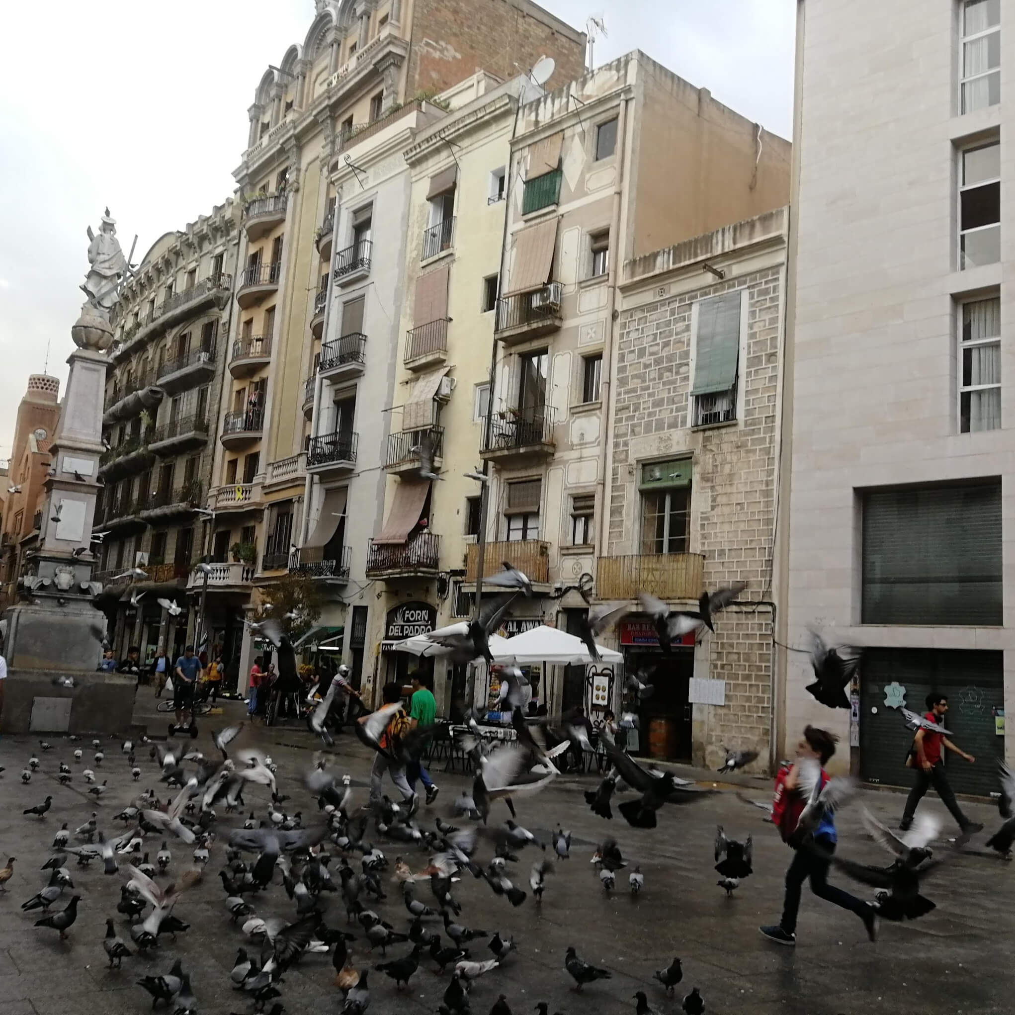 Pigeon Run